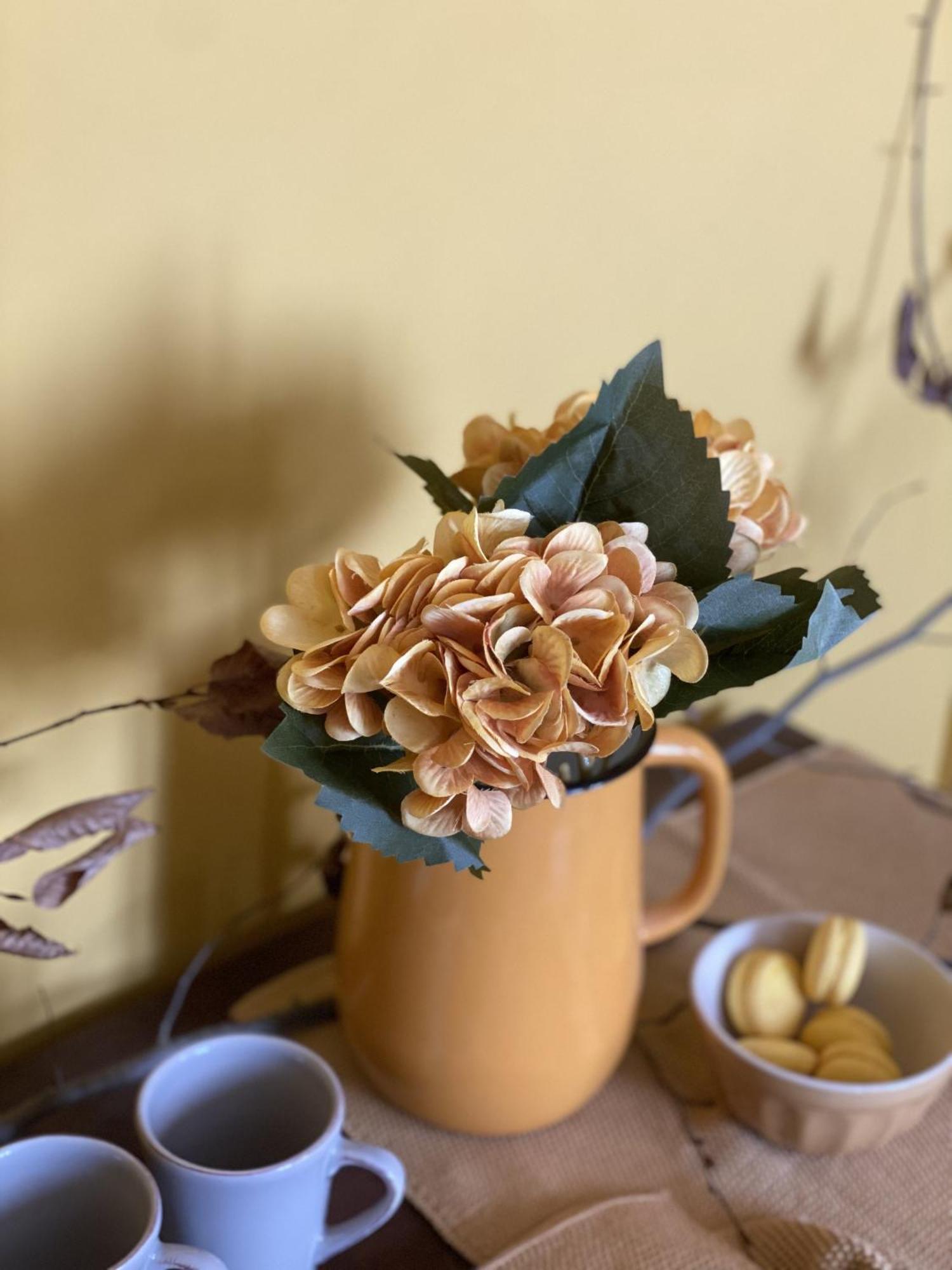 B&B Melloni Street Dolo Dış mekan fotoğraf