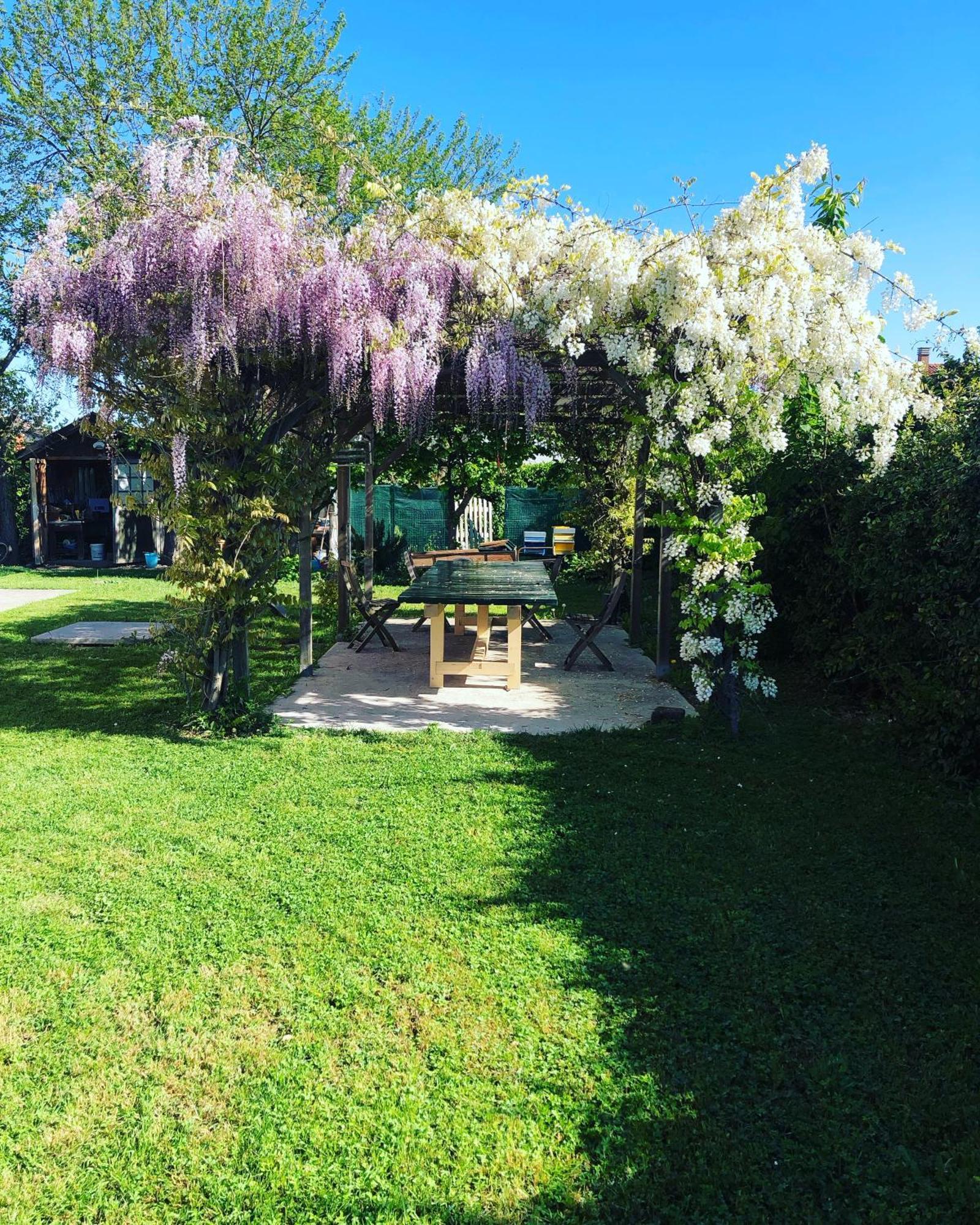 B&B Melloni Street Dolo Dış mekan fotoğraf